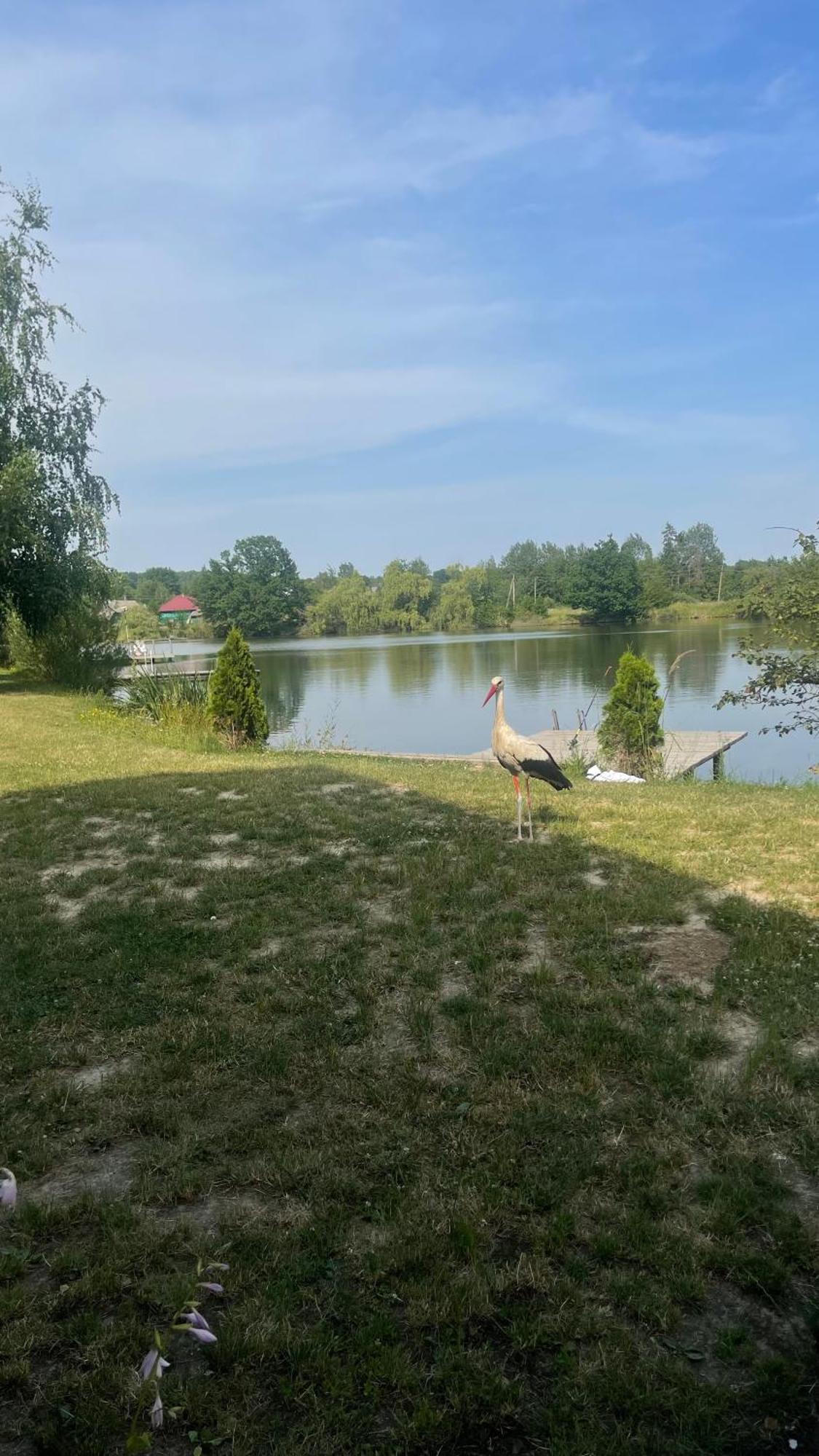 Перлина Буковини Lipovans Exterior foto